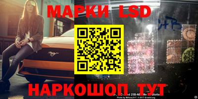 гашик Новодвинск