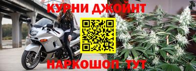 гашик Новодвинск