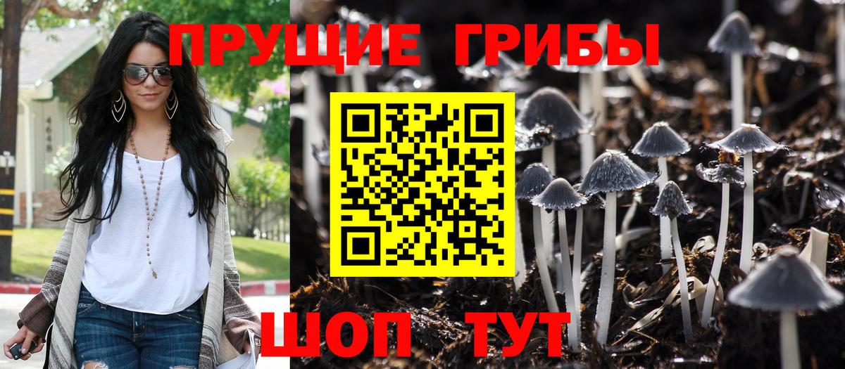 Псилоцибиновые грибы GOLDEN TEACHER  Псилоцибиновые грибы прущие грибы  магазин    Вход с VPN  Сарапул 
